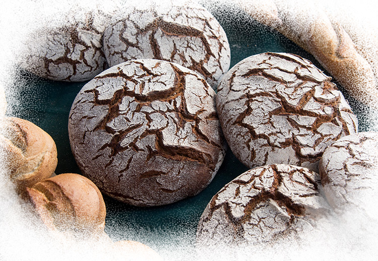 <p>Launch of the DoMix brand for professionals.</p>