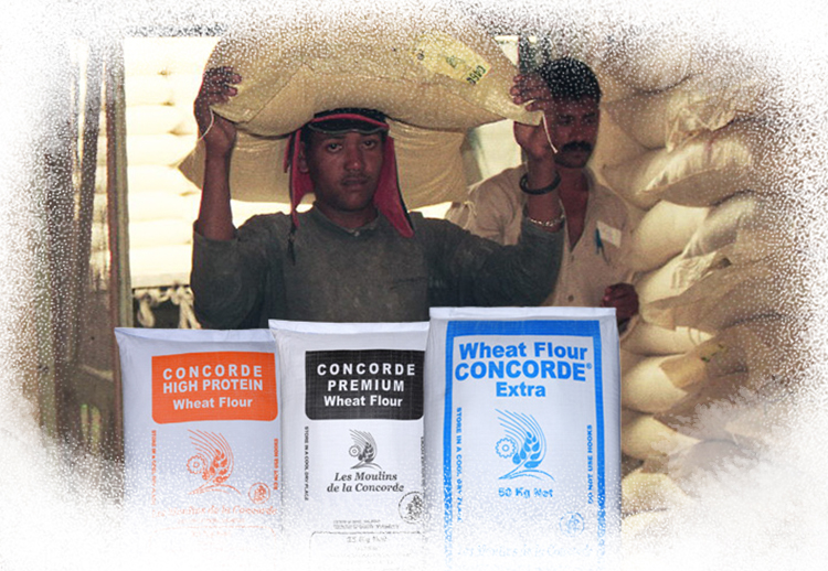 <p>A new packing line was introduced, allowing the replacement of 50kg bags with 25kg bags.</p>