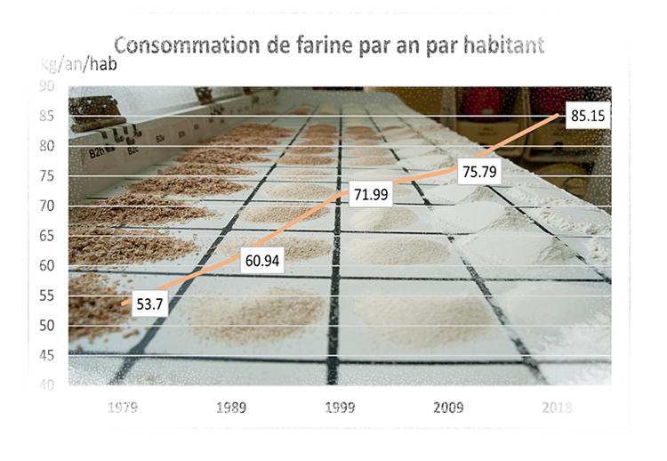 <p>Consommation de farine</p>