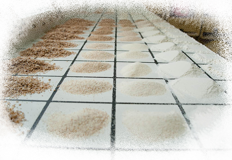 <p>Consolidation des activités et emphase sur les systèmes de qualité</p>