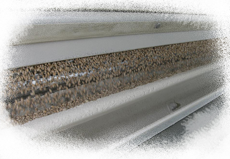 <p>First HACCP certification</p>