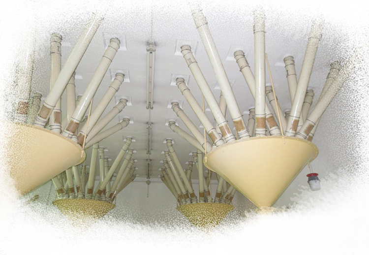 <p>Optimisation of production and sharing of experience and know-how</p>